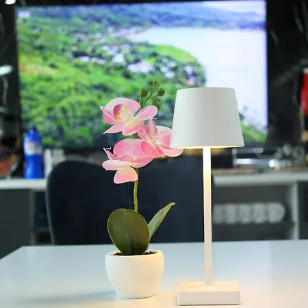 Mk Star Boutique Belgrado