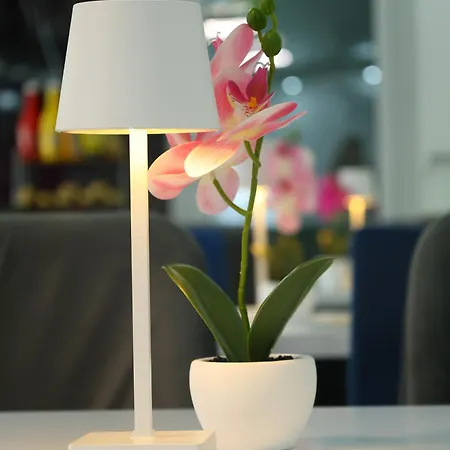 Pensión Mk Star Boutique