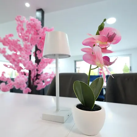 Gæstehus Mk Star Boutique 3*