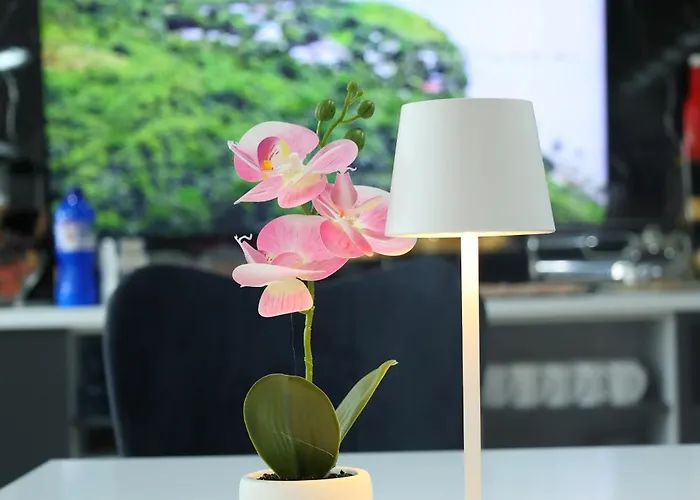 Mk Star Boutique Belgrade